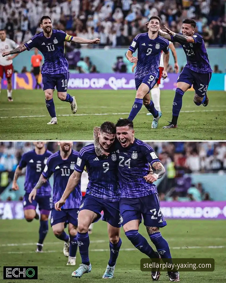 阿根廷新星重伤无缘世界杯的战术影响与平台信息获取详解